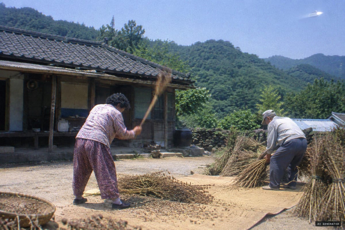 Gapyeong County, South Korea, September 4, 1995: a white elliptical object appears in the sky over an elderly couple threshing sesame, in one of three frames shot by Munhwa Ilbo photographer Kim Seon-gyu.