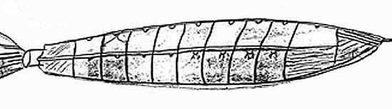 Comparison drawing of the object at 100 feet