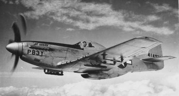 F-51 "Mustang", the type of fighter that chased the light