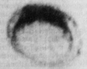 Detail of photograph 2