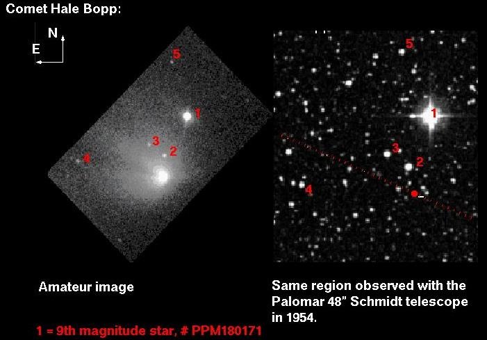 Chuck Shramek's CCD image of 14 November 1996 beside a 1954 Palomar Digital Sky Survey plate, showing the "object" is star SAO 141894.