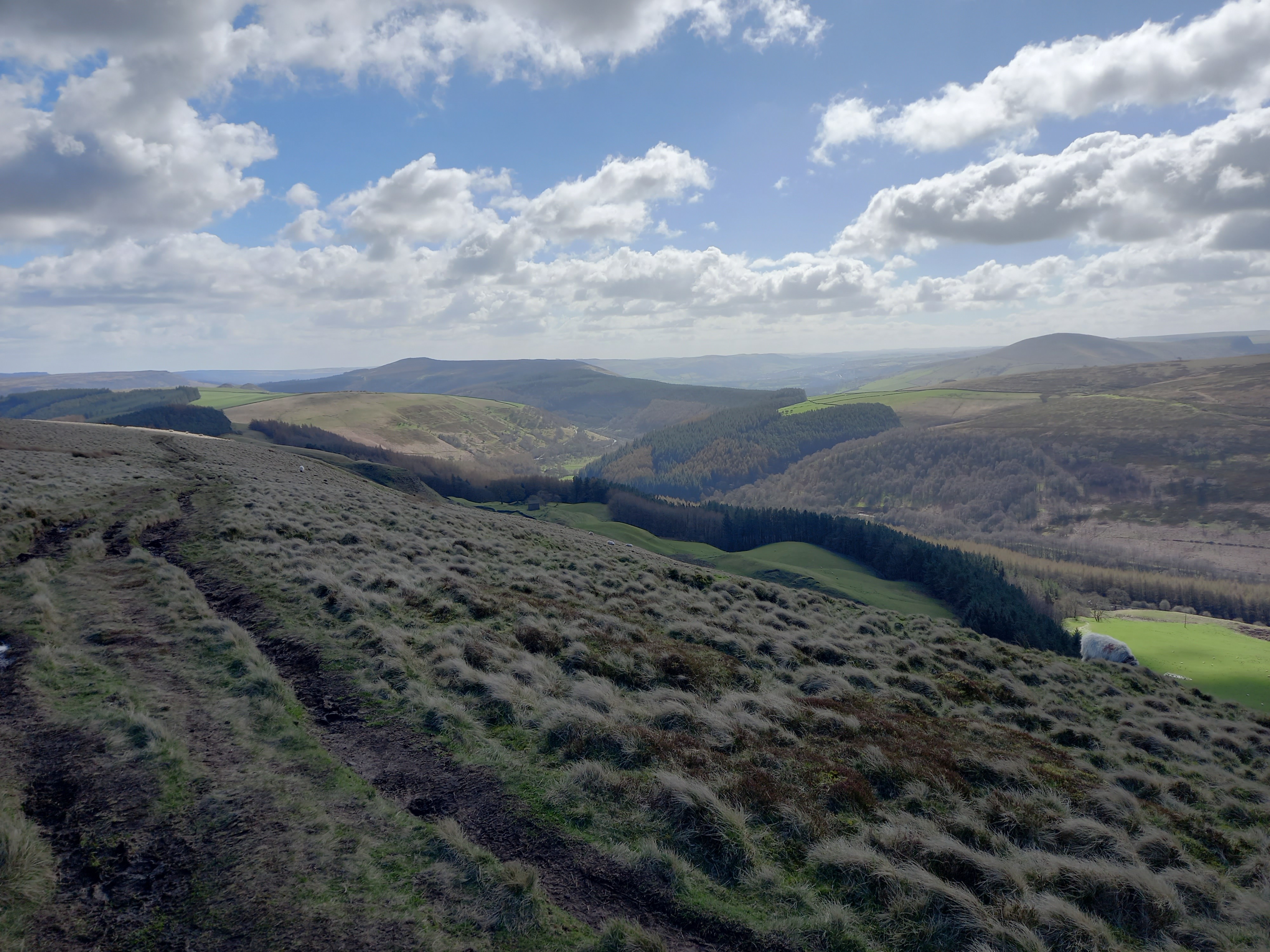 The moors that were searched, photographed in 2024.