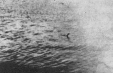 The lesser-known second photograph, with the head and neck at a different angle; first published by Constance Whyte in 1957.
