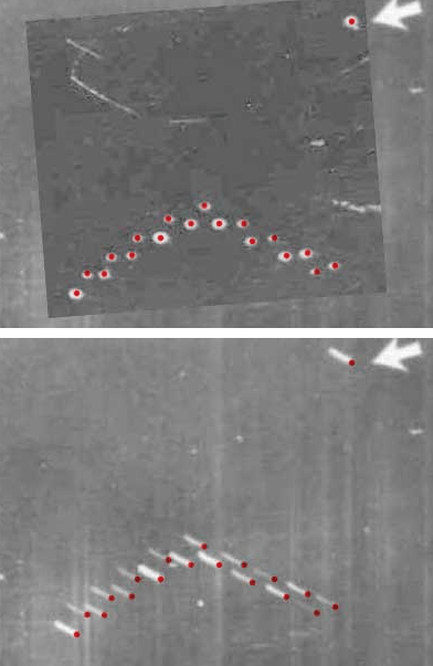 Hart photograph analysis figure
