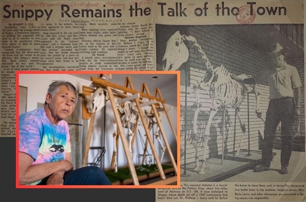 Newspaper clipping and photograph about Snippy the horse