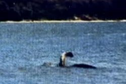 The Mansi photograph, from the Unsolved Mysteries gallery