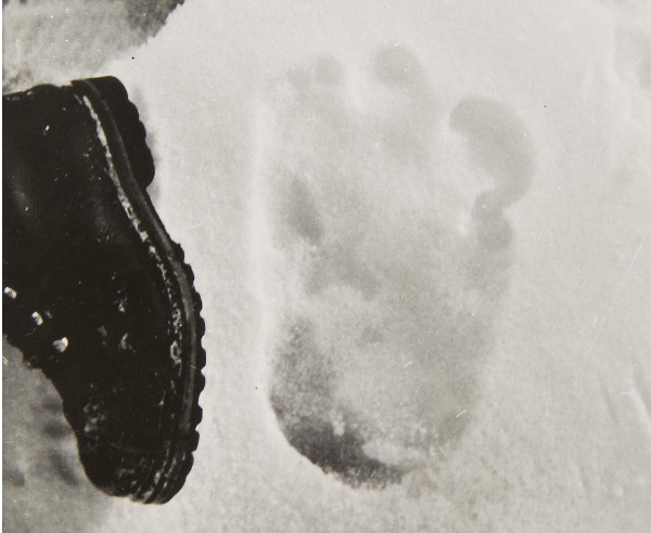 The print photographed beside Michael Ward's boot.