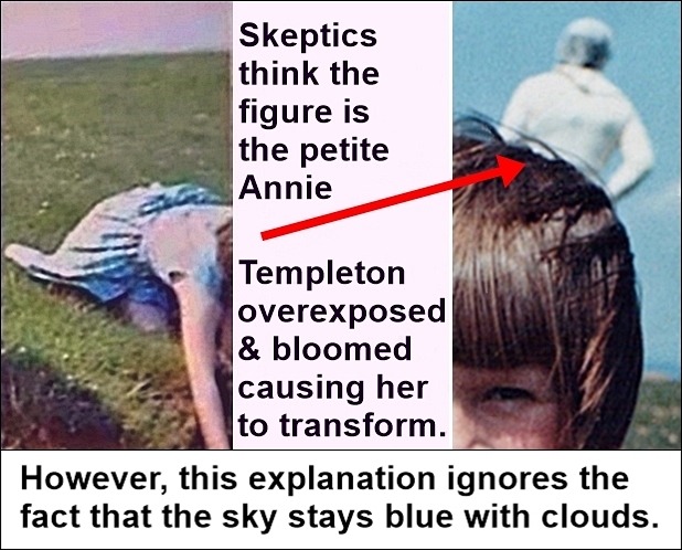 Annotated graphic presenting the sceptics' explanation.