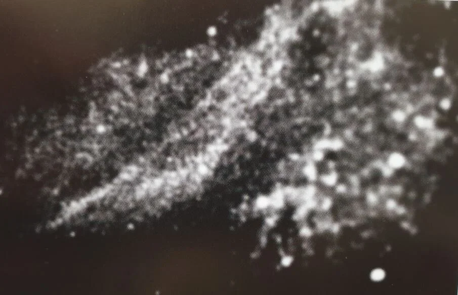 Alan Gillespie's computer enhancement of the frame at the Jet Propulsion Laboratory