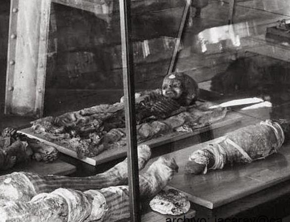 Comparison of the slide with a mummy from Thebes