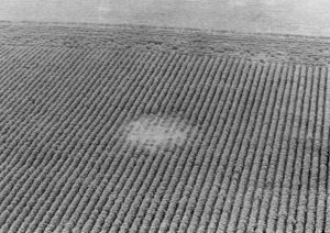 Van Horne, Iowa, landing trace