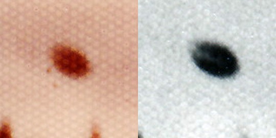 Photo 2, close-up of the disc