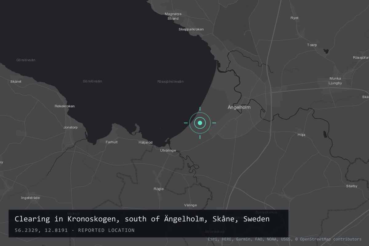 Where it happened: Clearing in Kronoskogen, south of Ängelholm, Skåne, Sweden