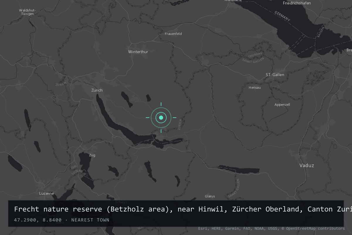 Where it happened: Frecht nature reserve (Betzholz area), near Hinwil, Zürcher Oberland, Canton Zurich, Switzerland