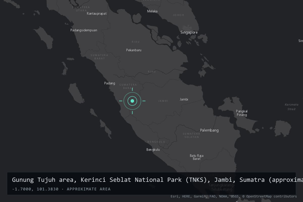 Where it happened: Gunung Tujuh area, Kerinci Seblat National Park, Kerinci Regency, Jambi, Sumatra, Indonesia