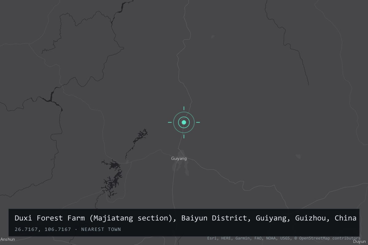 Where it happened: Duxi Forest Farm (Majiatang section), Baiyun District, Guiyang, Guizhou, China