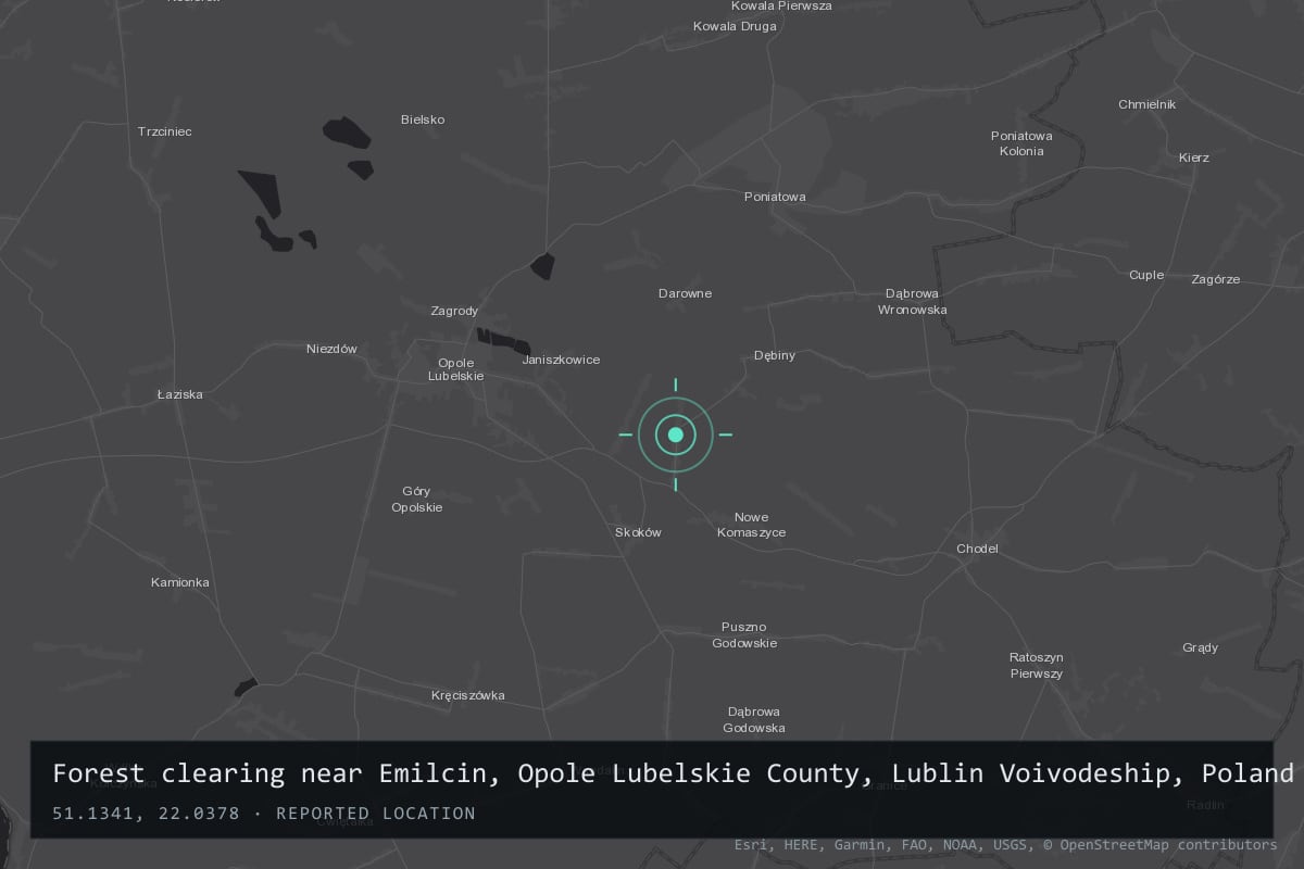 Where it happened: Forest clearing near Emilcin, Opole Lubelskie County, Lublin Voivodeship, Poland