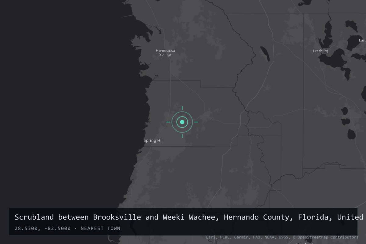 Where it happened: Scrubland between Brooksville and Weeki Wachee, Hernando County, Florida, United States